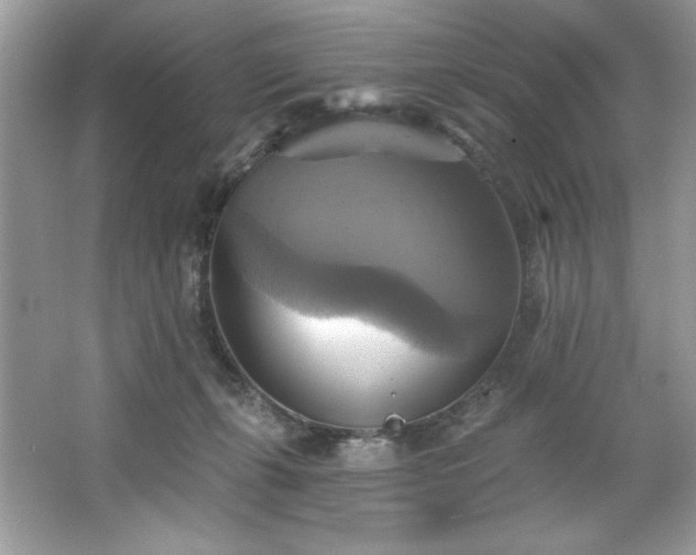 X0000067350271200604071433