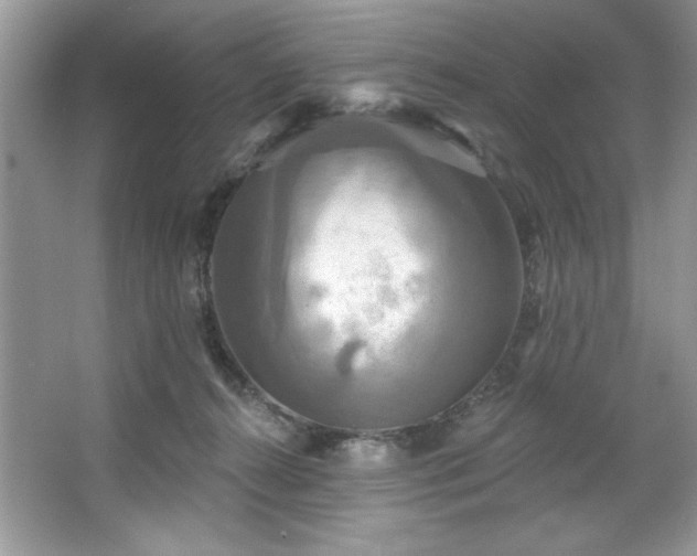 X0000067350272200604071433