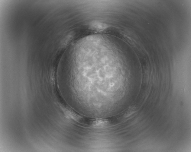 X0000067350274200604071433