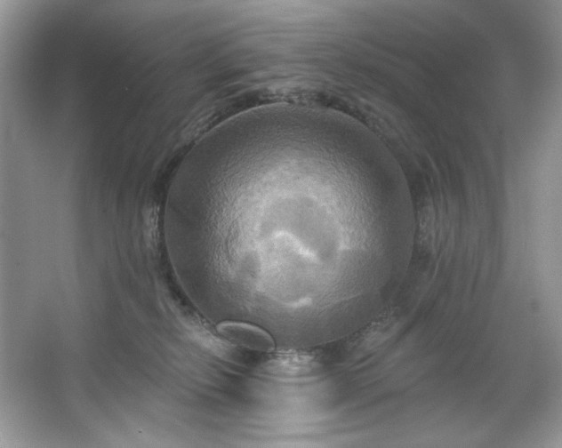 X0000067350278200604071433