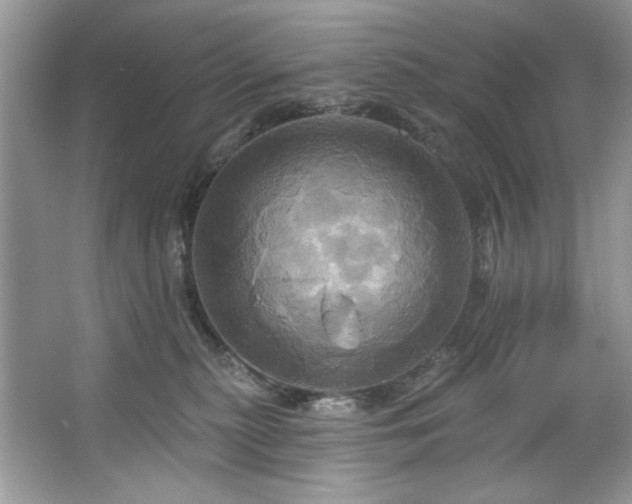 X0000067350279200604071433