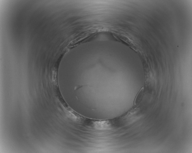 X0000067350281200604071433