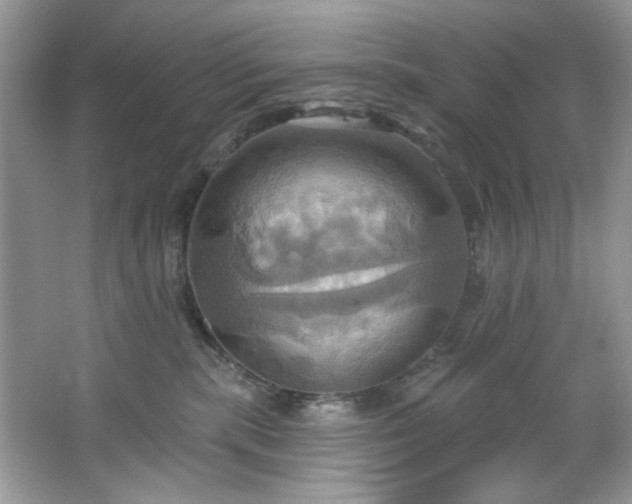 X0000067350283200604071433