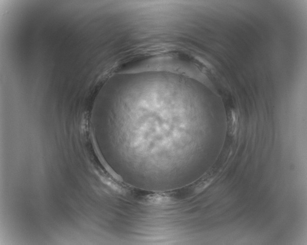 X0000067350284200604071433