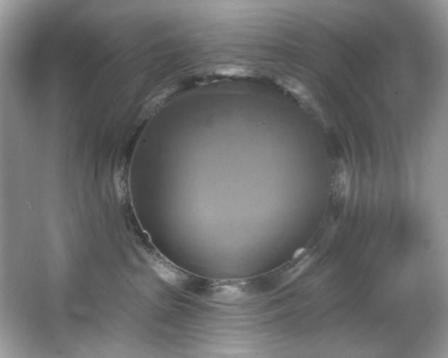 X0000067350285200604071433