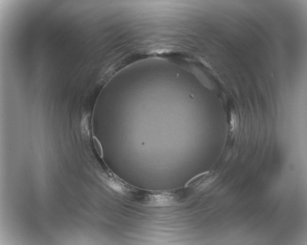 X0000067350286200604071433