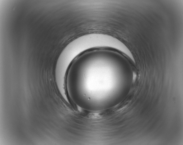 X0000067350287200604071433