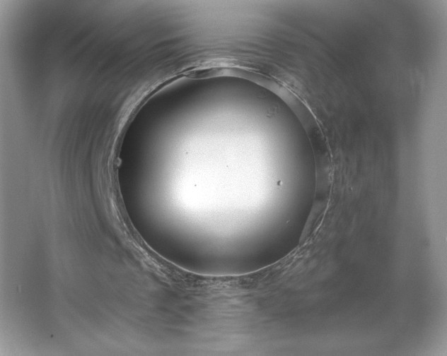 X0000067350289200604071433