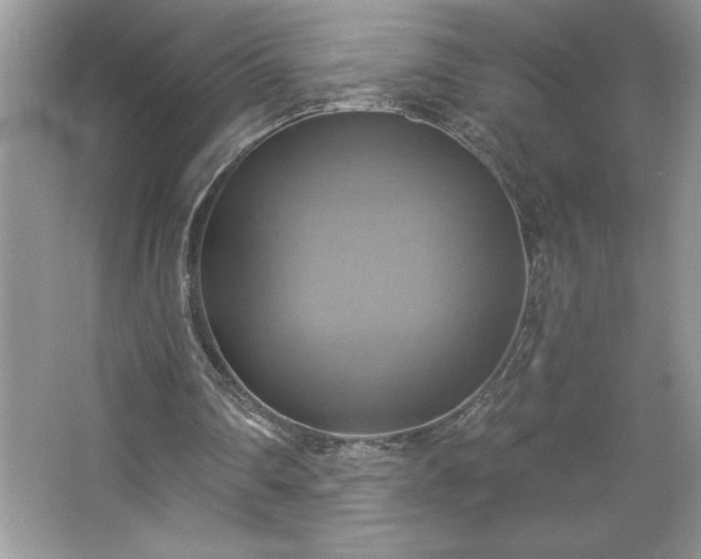 X0000067350290200604071433