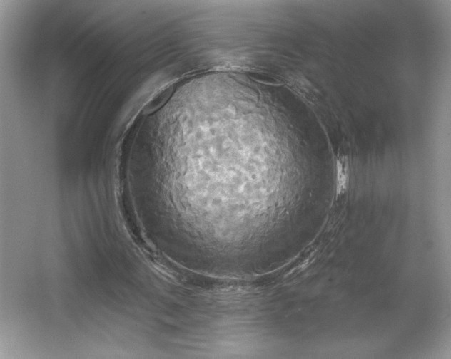 X0000067350291200604071433