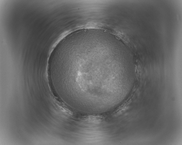 X0000067350292200604071433