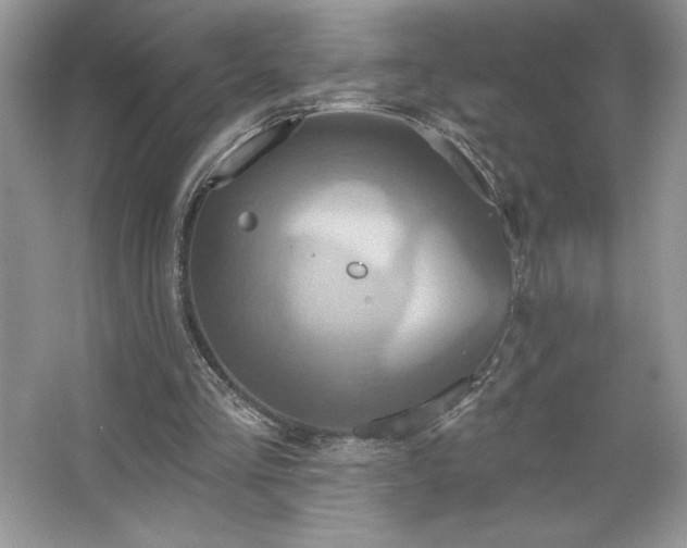 X0000067350293200604071433