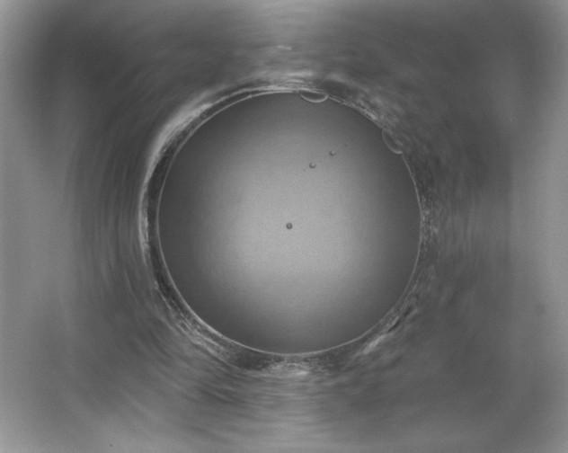 X0000067350294200604071433