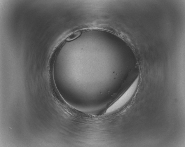 X0000067350295200604071433