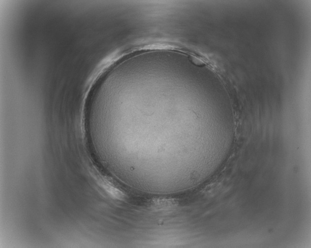 X0000067350296200604071432