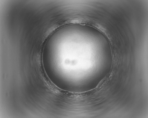 X0000067350297200604071432