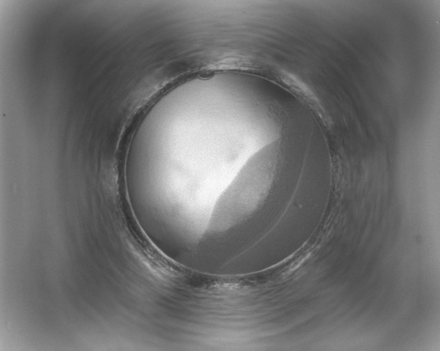 X0000067350298200604071432