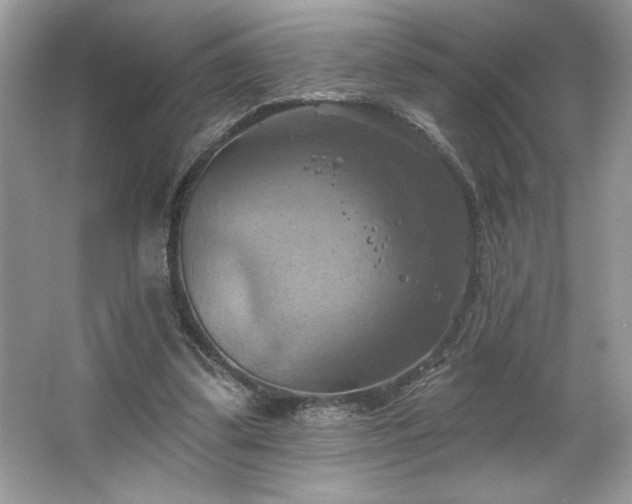 X0000067350299200604071432