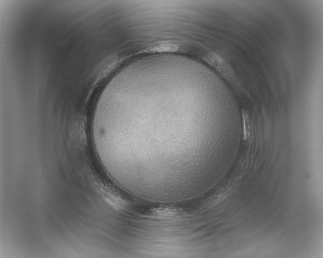 X0000067350300200604071432