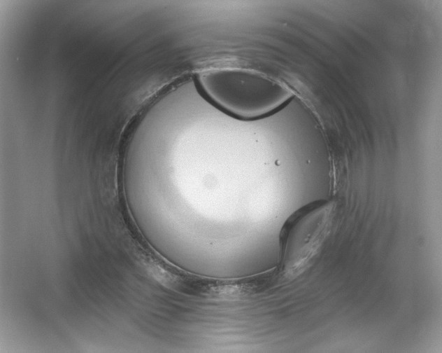 X0000067350301200604071432