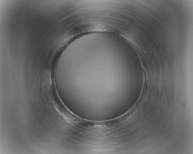 X0000067350302200604071432