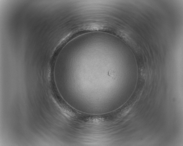 X0000067350304200604071432