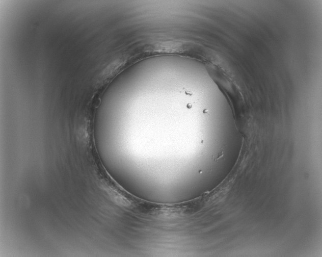 X0000067350305200604071432