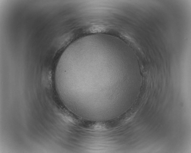 X0000067350308200604071432