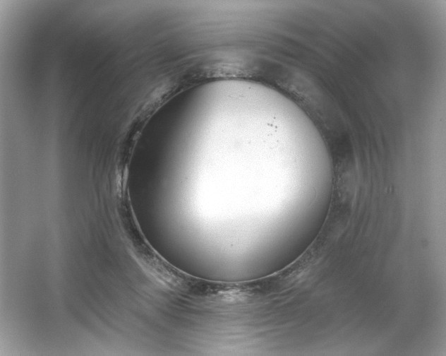 X0000067350310200604071432