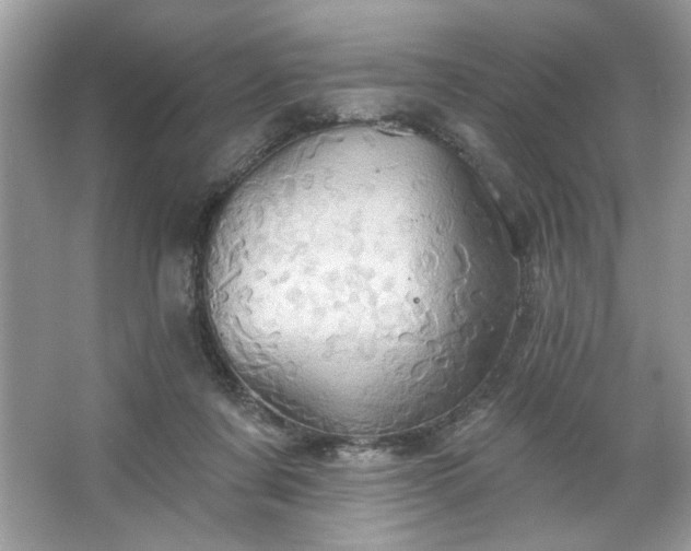 X0000067350311200604071432