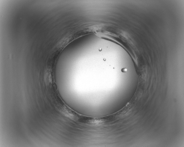 X0000067350313200604071432