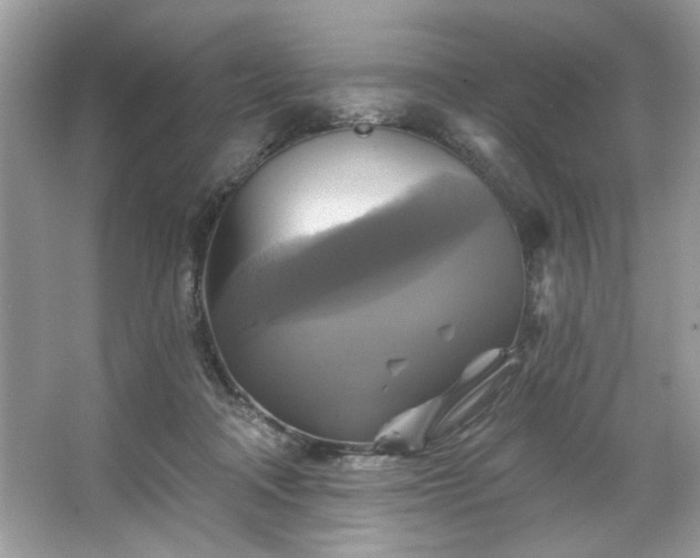 X0000067350314200604071432