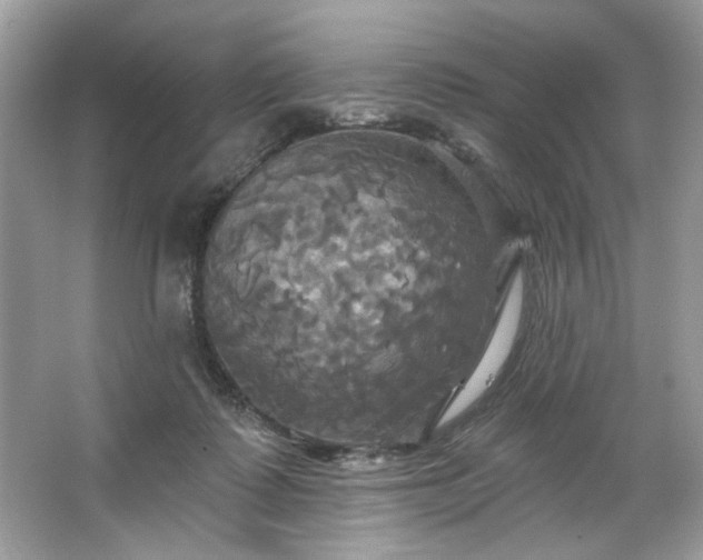 X0000067350315200604071432