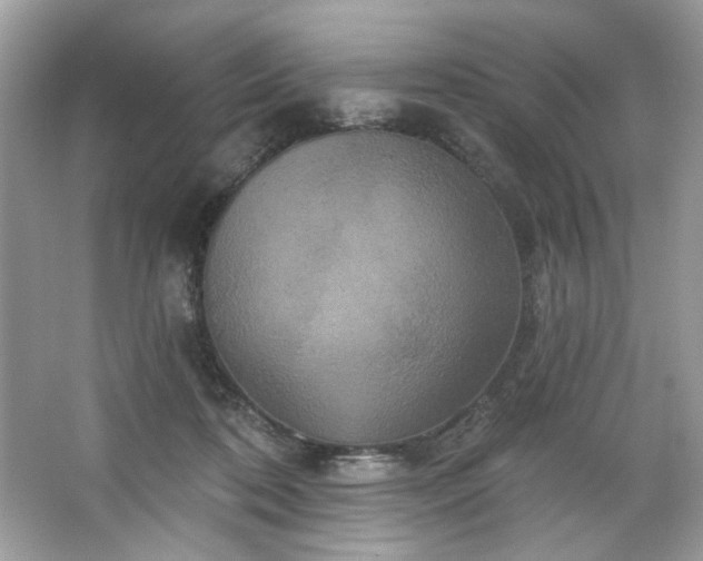 X0000067350316200604071432