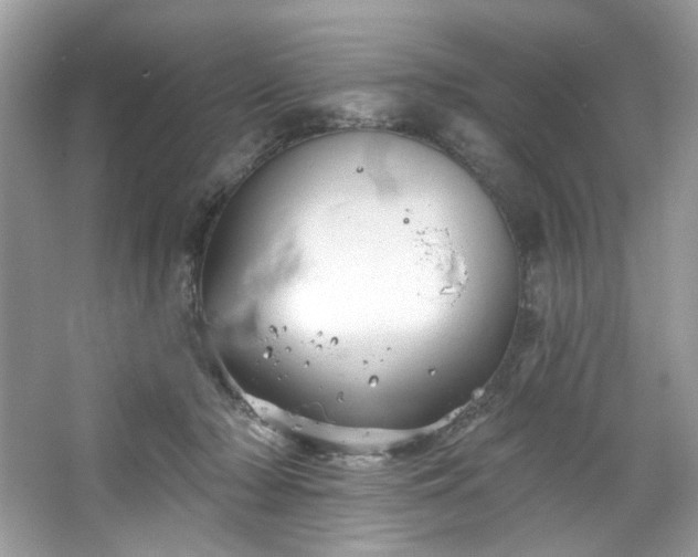 X0000067350318200604071432