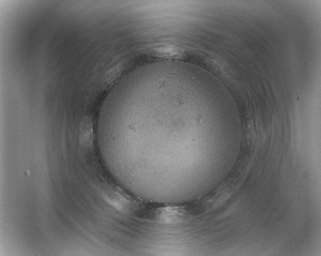 X0000067350320200604071432