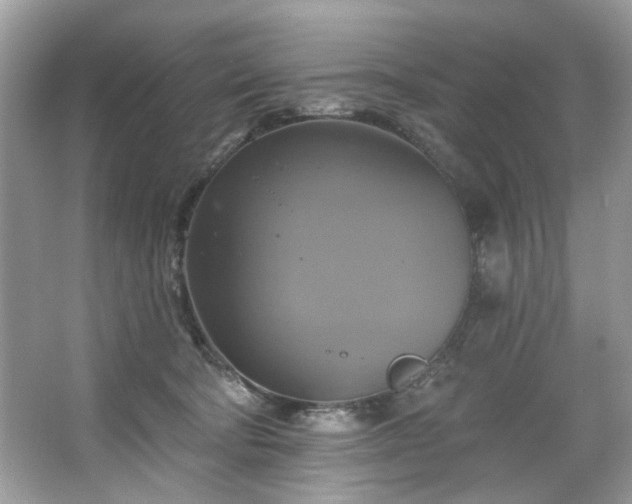 X0000067350322200604071432