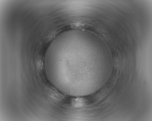 X0000067350324200604071432