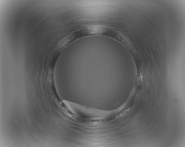 X0000067350325200604071432