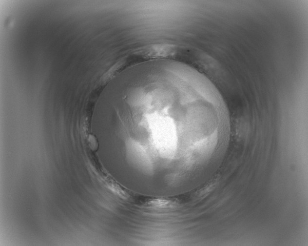 X0000067350326200604071432