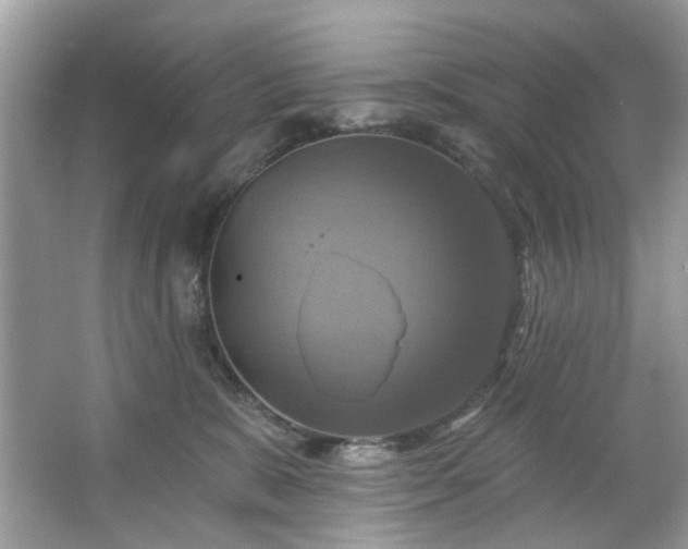 X0000067350327200604071432