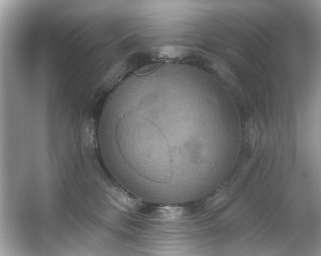 X0000067350328200604071432