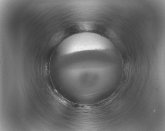 X0000067350330200604071432