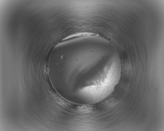 X0000067350331200604071432