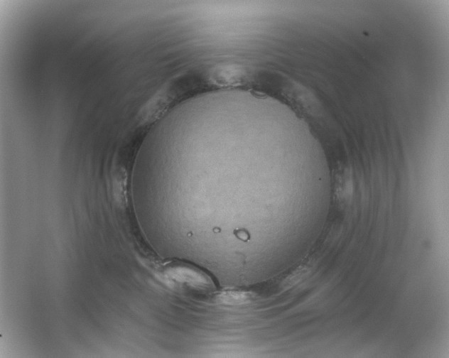 X0000067350332200604071432