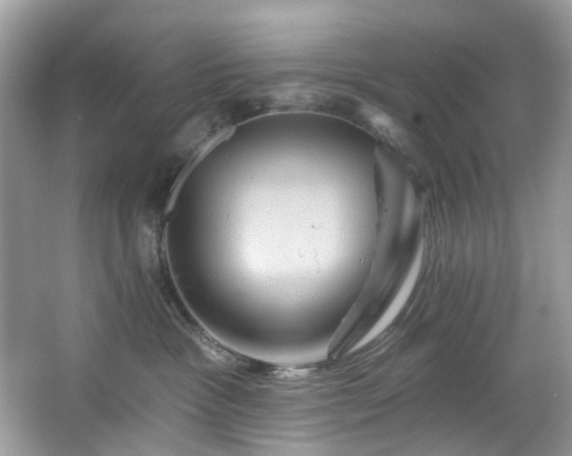 X0000067350333200604071432