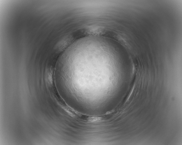 X0000067350334200604071432