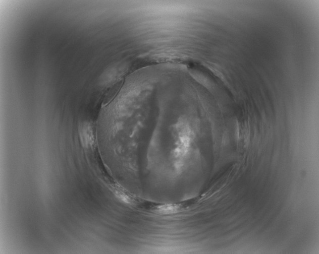 X0000067350335200604071432