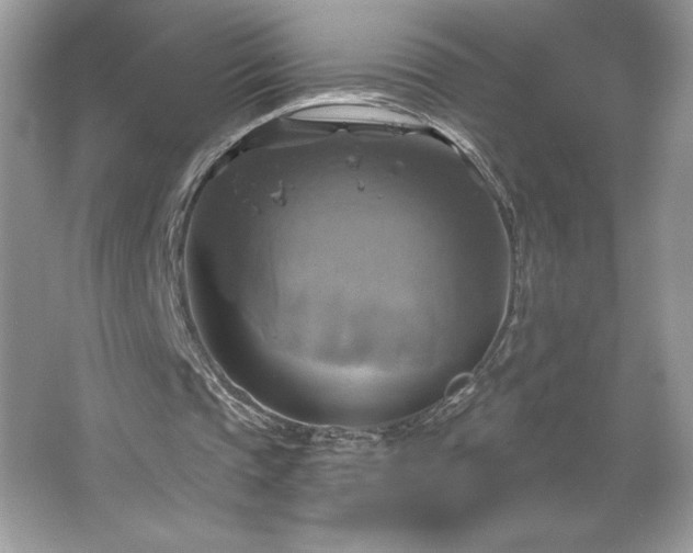 X0000067350337200604071431