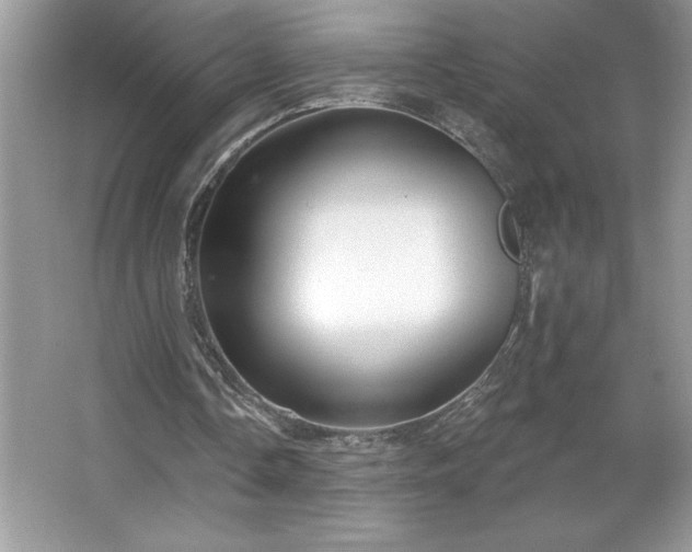 X0000067350338200604071431